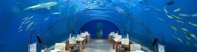 Подводный ресторан Ithaa, Мальдивы